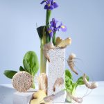 Цены на каталожные съемки от предметного фотографа Анны Дубровиной в Item Studio в Москве: полный обзор